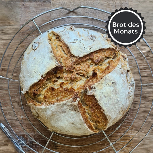 Herzhaftes Walnussbrot mit Lievito Madre – Brot des Monats Oktober